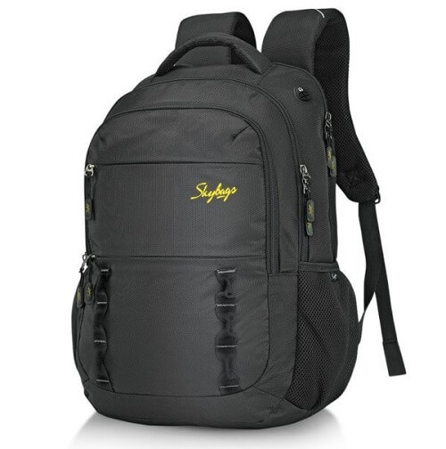 Skybags school bag