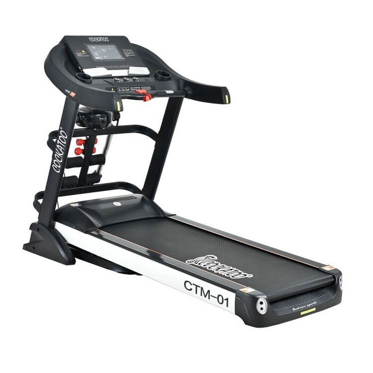 Cockatoo treadmil
