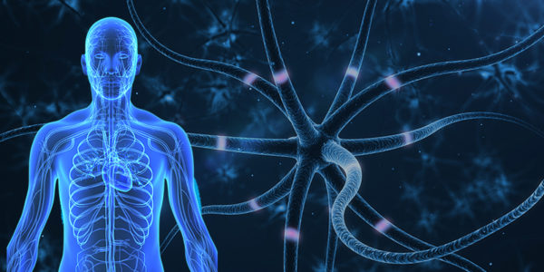 What is Neuropathy and How is it Treated? - Trends We