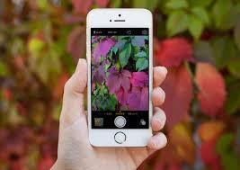 best plant identifier app android