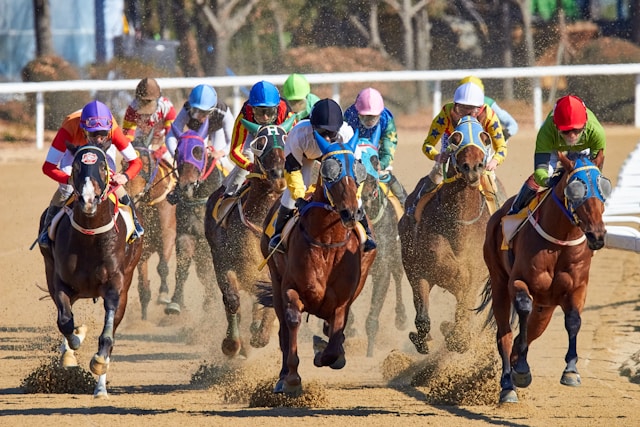 Horse Racing Scoreboards