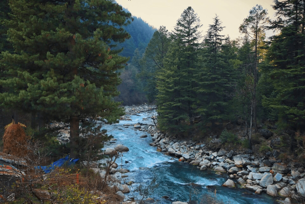 Things to Do in Kasol