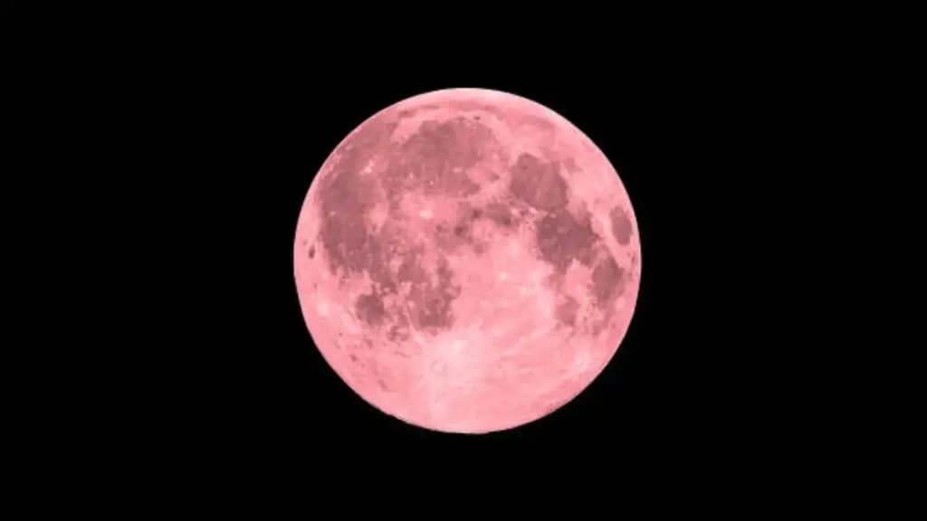 pink moon 2025