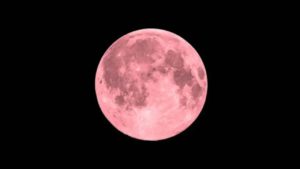 pink moon 2025