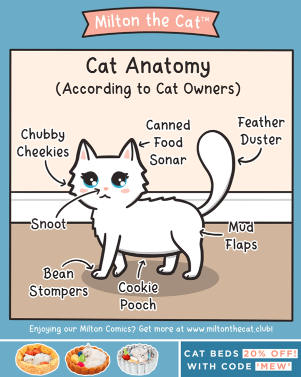Cat Name Puns