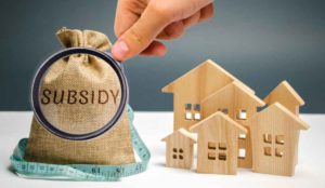 loan subsidy