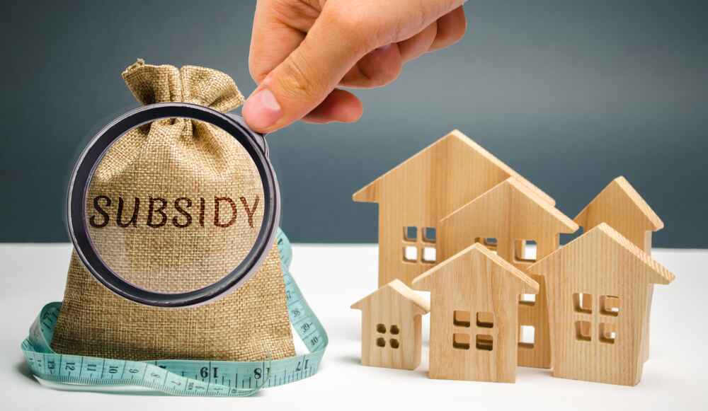 loan subsidy