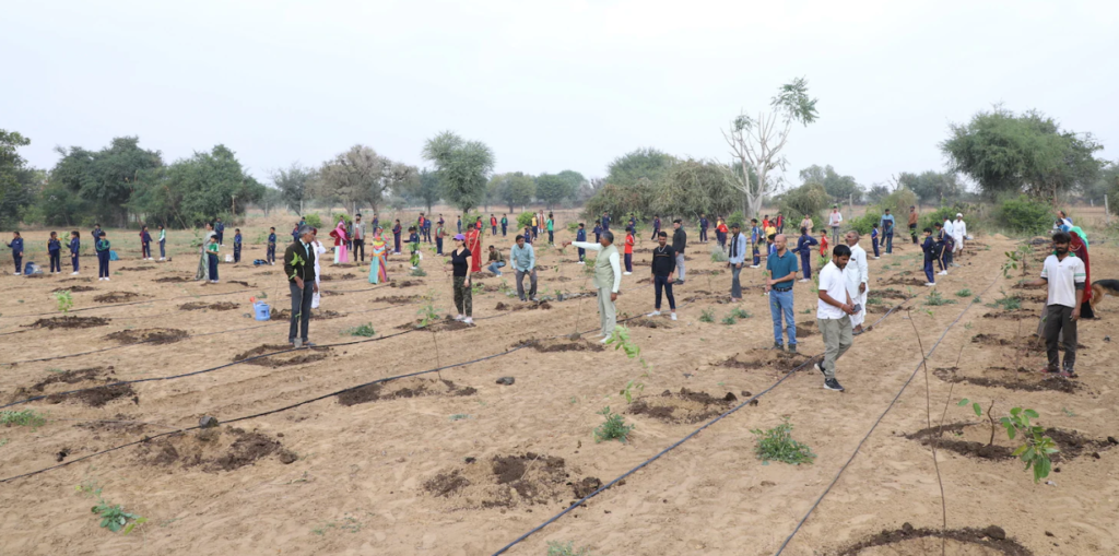 Tree Plantation NGO Pune