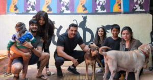 Volunteer for Animal NGO in Mumbai