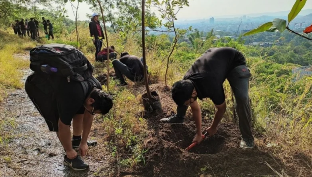 Tree Plantation NGO Pune