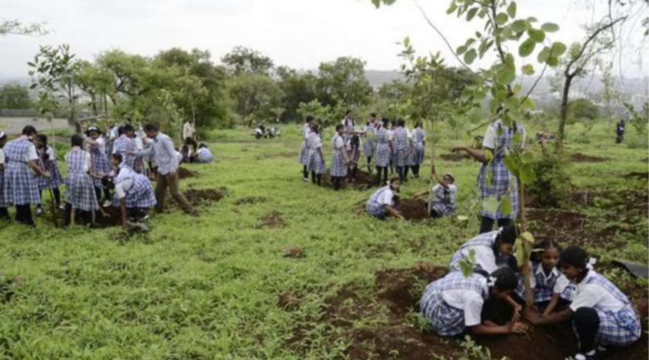 Tree Plantation NGO Pune